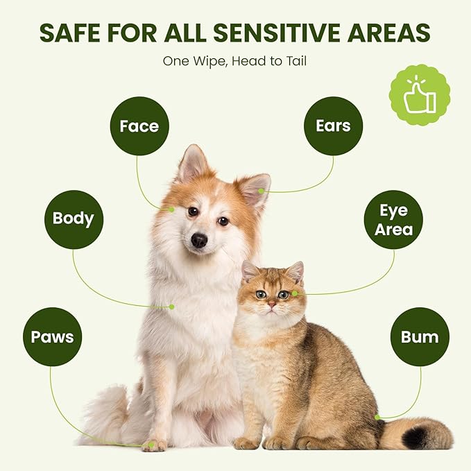 Hypoallergenic Pet Wipes for Dogs & Cats – Quick Clean & Deodorize Paws, Butt, Eyes, Ears, Face & Fur | Daily Grooming After Walks and Between Baths | Extra Large & Thick | Coconut Scented, 100 Count