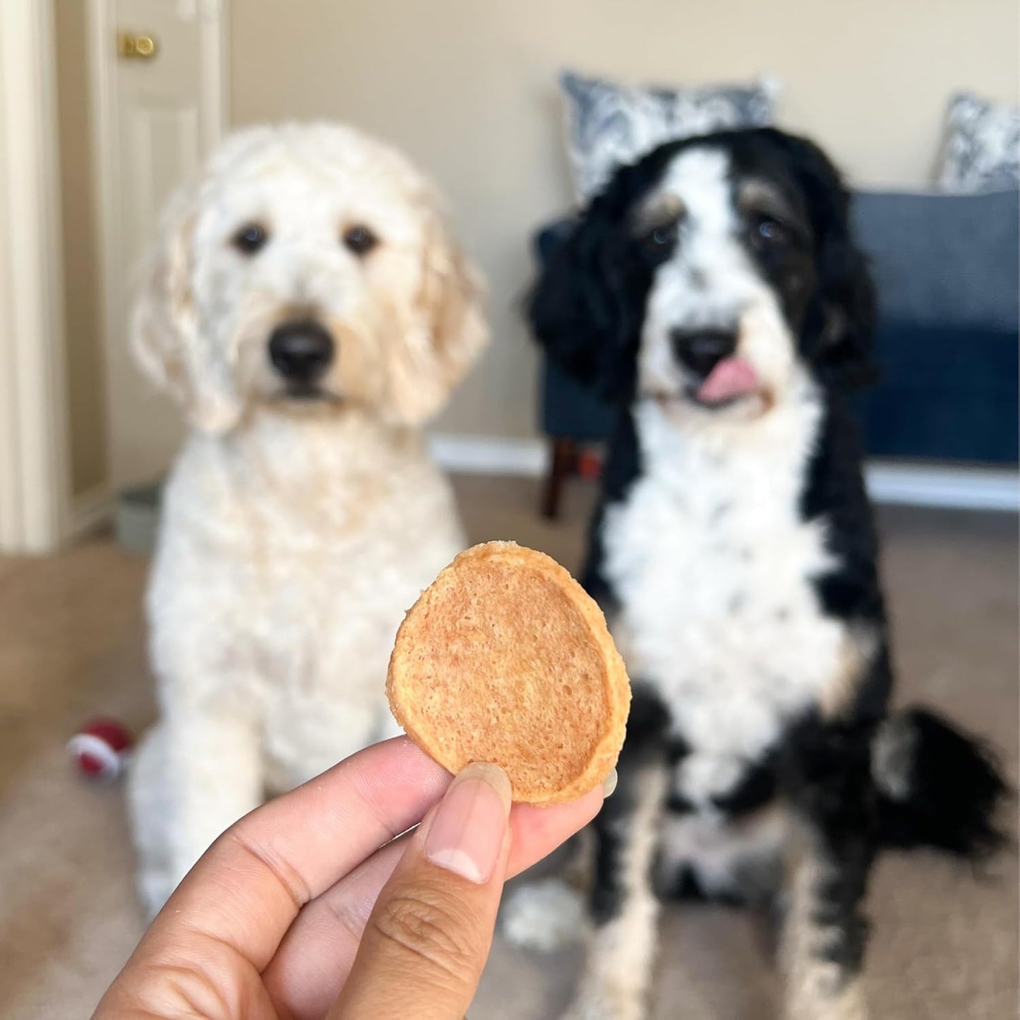 Farm To Pet - Dog Training Treats - Chicken Chips, Single Ingredient - 12 oz, Lean, All Natural, Healthy Dog Treats for Small, Medium, Large Breeds, & Puppies, Made in USA