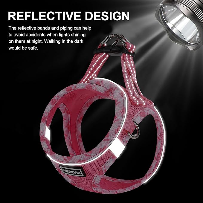 Mercano Soft Mesh Dog Harness and Leash Set, No-Chock Step-in Reflective Breathable Lightweight Easy Walk Vest Harnesses with Safety Buckle for Small Dogs, Cats (XS, Fuchsia)