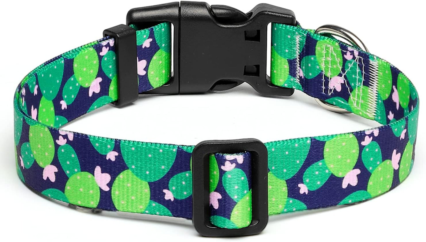 Mercano Adjustable Dog Collar - Special Design Patterns, Soft Nylon Comfortable Durable Pet Collar for Small Medium Large Dogs (L, Cactus)