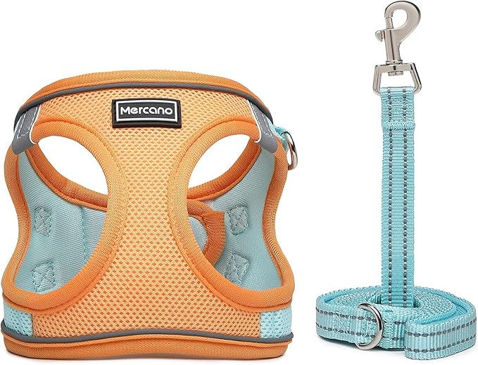 Mercano Soft Mesh Dog Harness and Leash Set, No-Chock Step-in Reflective Breathable Lightweight Easy Walk Vest Harnesses with Safety Buckle for Small Dogs, Cats (S, Orange Blue)