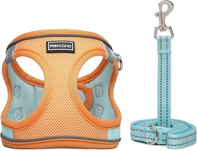 Mercano Soft Mesh Dog Harness and Leash Set, No-Chock Step-in Reflective Breathable Lightweight Easy Walk Vest Harnesses with Safety Buckle for Small Dogs, Cats (L, Orange Blue)