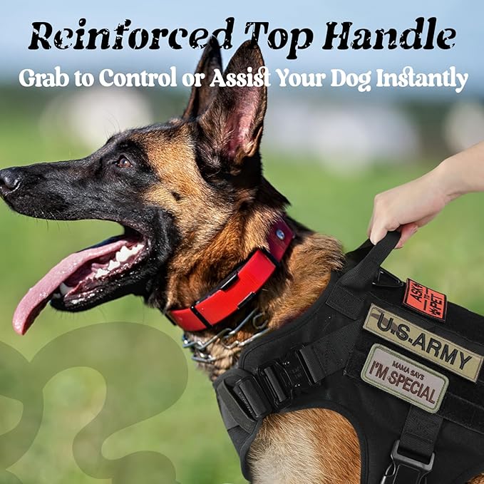 rabbitgoo Tactical Dog Harness for Medium, Heavy Duty Military No Pull Vest | Sturdy Metal Buckles, 5 Adjustments, Molle System, Powerful Pullers for Training, Hunting, Outdoor, Black, Medium