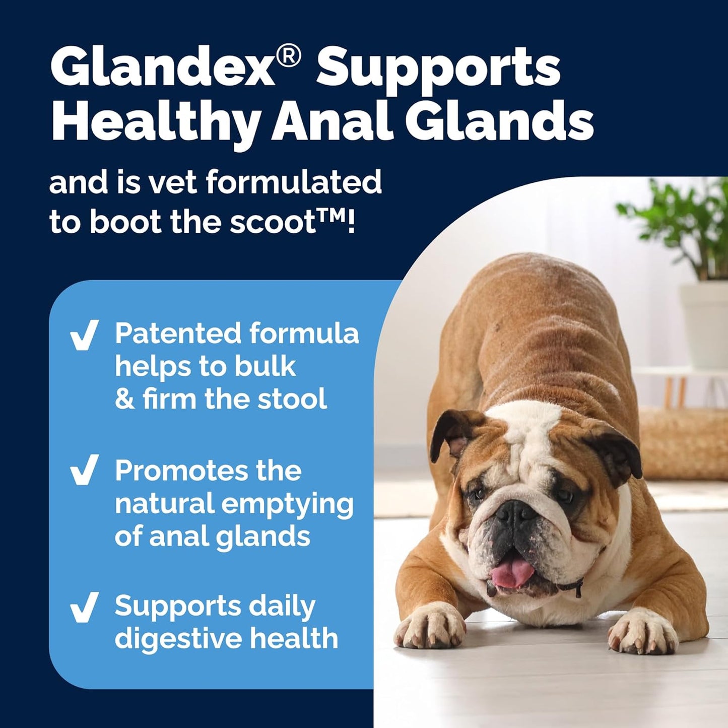 Vetnique Glandex Anal Gland Soft Chew Treats with Pumpkin for Dogs Digestive Enzymes, Probiotics Fiber Supplement for Dogs Boot The Scoot (Peanut Butter Chews, 120 Count)