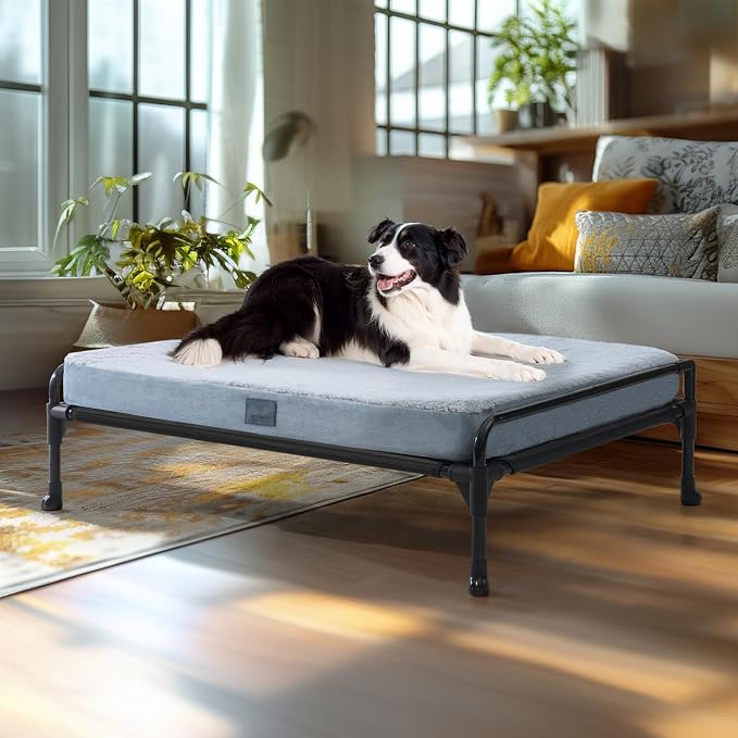 Veehoo Elevated Raised Dog Bed+Removable Dog Cot Mat-Cooling Outdoor Large Pet Bed Three-Sided Guardrail Raised Pet Cot Hammock Bed with Bolster-35 x 22" Black