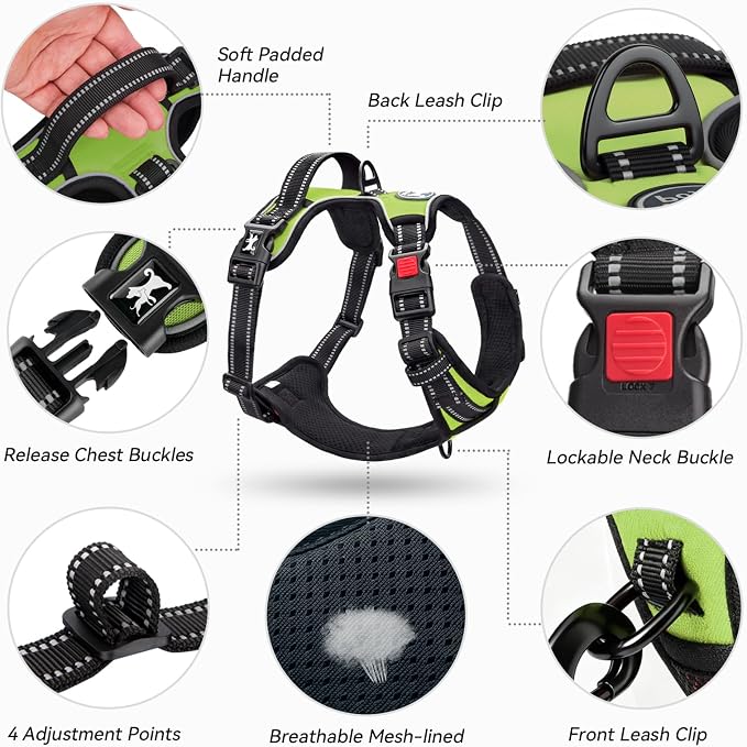 PoyPet No Pull Dog Harness Small with Front Clip & Neck Release Buckle | No Choke, Adjustable Vest, Reflective, Back Clip, Lockable, Soft Padded, Easy Control Handle for Walking Training, S, Green
