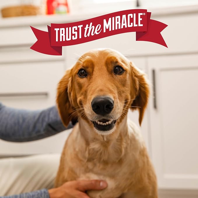 Nature’s Miracle Outdoor Stain & Odor Remover, 64 fl oz, Removes Dog & Cat Messes, Convenient Flip & Go Sprayer, Ready-to-Use, Multi-Pet & Multi-Mess Formula