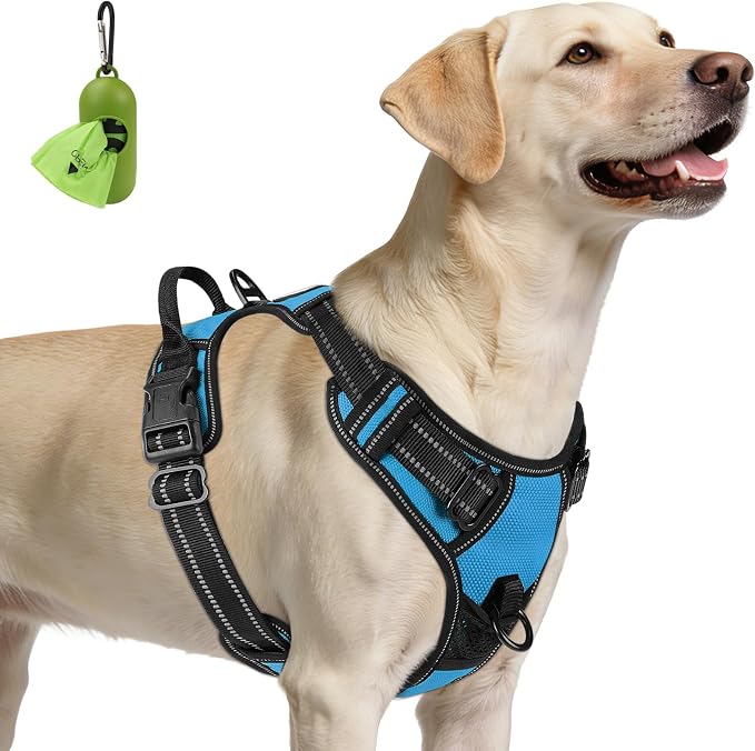 Joytale No Pull Dog Harness for Large Dogs, Front Clip, Sky Blue | Grab Handle for Instant Control, Padded & Adjustable Vest, Sturdy Metal D-Rings, for Safe Training & Daily Walking