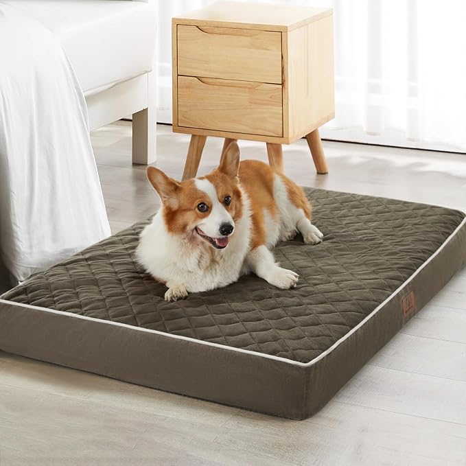 WNPETHOME Orthopedic Giant Human Dog Beds for Adult & Dog Cozy Sleep | Human Washable Waterproof Dogs Bed with Removable Cover, Multi-Needle Quilting Dogs Crate Bed for Relax,DarkGreen 61x43Inch