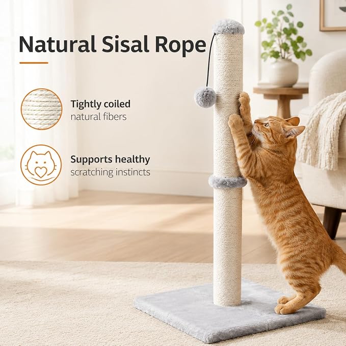 Dimaka 29" Height Tall Cat Scratching Post, Claw Scratcher with Sisal Rope and Covered with Soft Smooth Plush, Vertical Scratch [Full Strectch] for Standard Size Cats(Grey, 29 inches for All Cats)