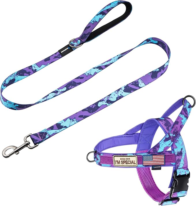 Annchwool No Pull Dog Harness with Padded Handle+5 Ft Leash,Escape Proof and Quick Fit to Adjust Dog Harness,Easy for Training Walking for Small & Medium and Large Dogs(Camo Purple Set,M)