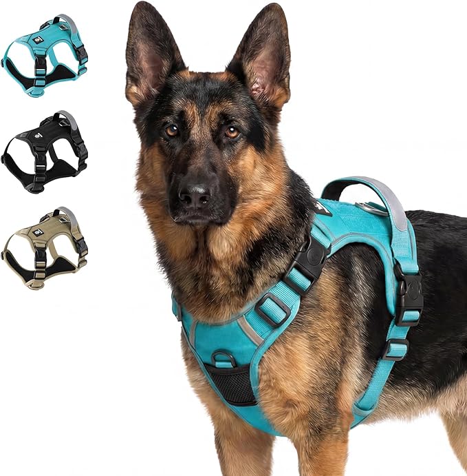 Tactical Dog Harness for Small Dogs, Reflective No Pull Vest with Handle | 3 Point Locking Buckles, Dual Leash Clips, Handle, Reflective Strips, Hook & Loop Panel, Metal D Ring, Adjustable (Blue)