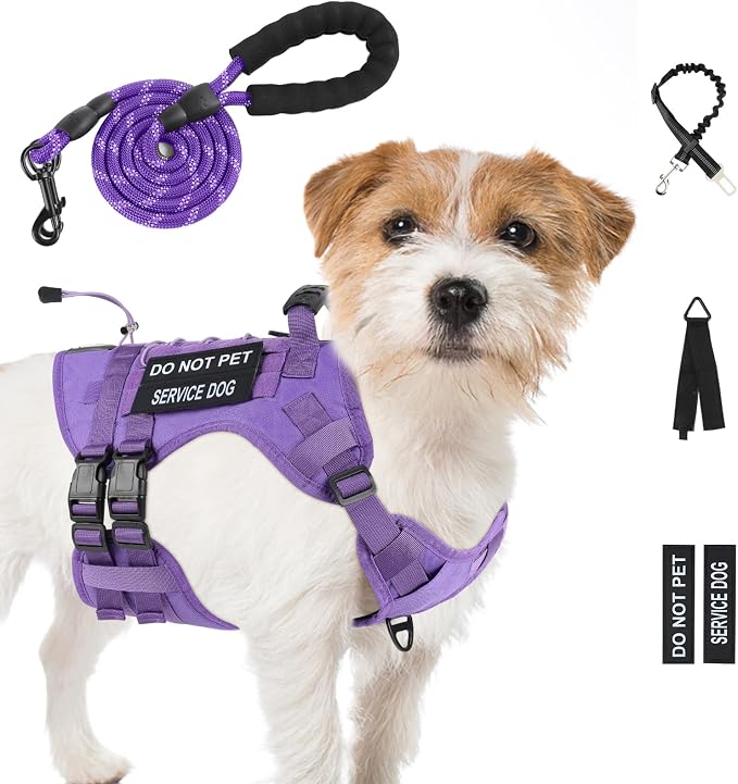 No Pull Tactical Dog Harness Small Sized Dog, Service Dog Vest, S,Purple | Tactical Dog Vest Harness and Leash Set, Adjustable Military Service Dog Harness with Handle for Medium Large Dogs