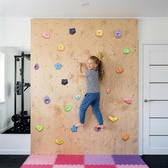 TOPNEW Climbing Holds for Kids, Rock Wall Holds with Hardware - Climbing Rocks for Indoor Outdoor Playground Climbing Wall (24 Pcs)