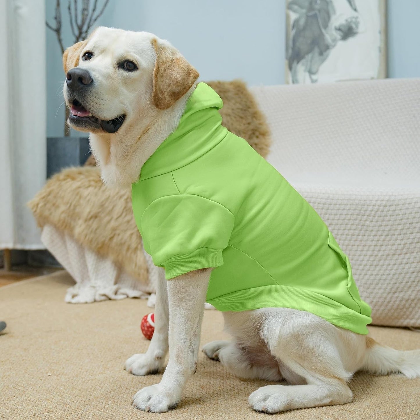KOOLTAIL Basic Dog Hoodie - Soft & Warm Dog Hoodie Sweater with Leash Hole and Pocket, Dog Winter Coat, Cold Weather Clothes Sweatshirt for Small Medium Large Dogs Puppy Cat Boys Girls Green L
