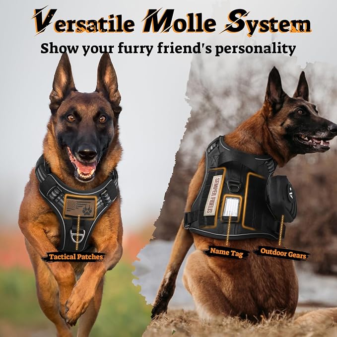 rabbitgoo Tactical Dog Harness for Large Dogs, No Pull Service Pet Vest | Military Molle System & Easy Control Handle, Adjustable and Reflective for Walking and Training, Black, Large