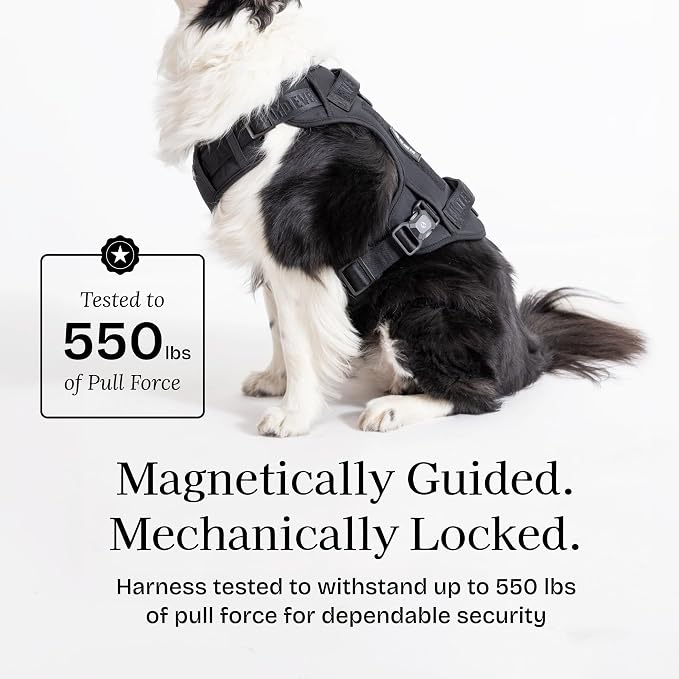 Fei & Eve Classic Dog Harness, MagEase Magnetic Buckle | 3-Point No-Pull Control, Dual Handle Support, 900D Nylon, Tactical Patch Panel, Heavy Duty, Large, Black