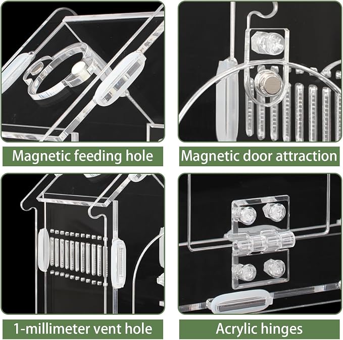 Magnetic Acrylic Jumping Spider Enclosure with Mushroom House, Easy-Feed Hole & Front Opening – Terrarium for Tarantula, Mantis, Beetle, Gecko, Hermit Crab, Reptile Habitat