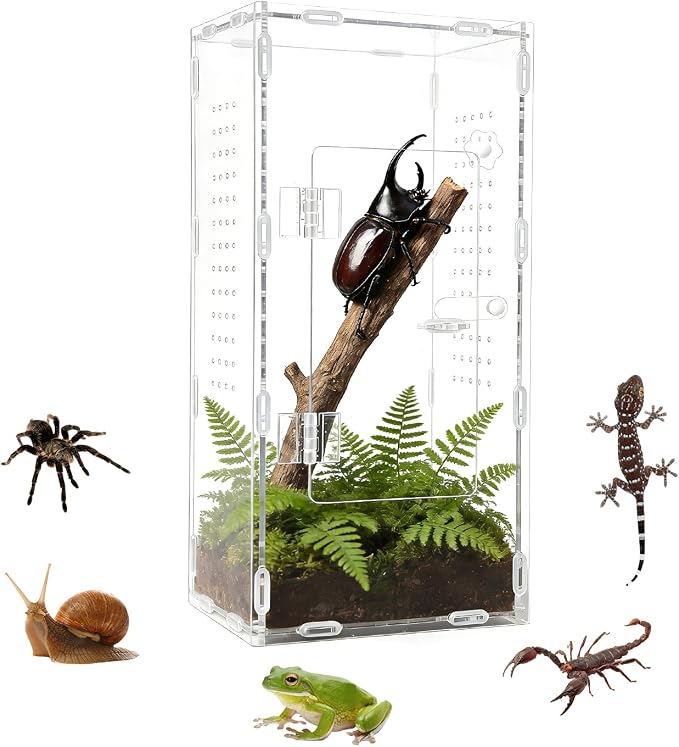 Acrylic Jumping Spider Enclosure, Reptile Terrarium Enclosure with Front Opening Door, 5.91×5.91×11.88 Inch Reptiles Habitat Tank Breeding Box for Tarantula Insect Snake Lizard