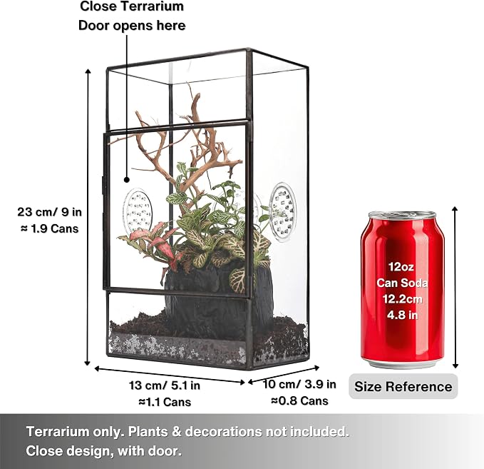 NCYP Glass Enclosure for Large Jumping Spider - 5.1" x 3.9" x 9" Front Opening Door Glass Terrarium with 3 Vent Holes, Small Snail, Insects Habitat, Black (Terrarium Only)