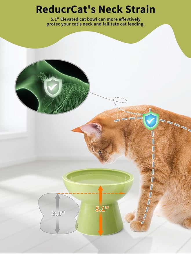 LoeJan Elevated Cat Food and Water Bowls Set, Extra Wide and Raised Ceramic Feeder, Anti-Vomit Whisker-Free Pressure Feeding Bowl for Kittens Adult Cats Small Dogs (Green, Bowl Set)