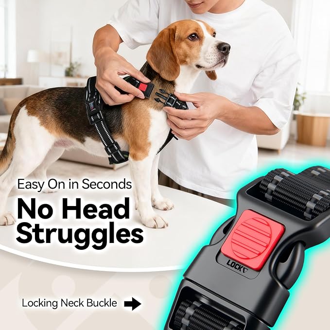 No Pull Dog Harness with Handle Front & Back Clip, Easy on | Lockable Snap Buckle at Neck, Adjustable Reflective Vest with Handle for Small Medium Large Dogs (M, Misty Green)