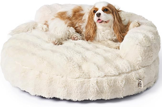 EHEYCIGA Dog Bed Medium Size Dog, Fluffy Small Dog Couch with Removable Washable Cover, Bolster Pet Sofa, Waterproof and Non-Slip, 30" x 30"x 8.5", Cream