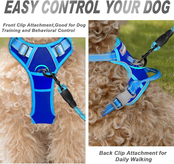 BARKBAY Dog Harness No Pull for Small Sized Dog Front Back Clips,Dog Vest | Soft Padded No Choke With Handle,Easy On&Off,Adjustable Reflective For Walking Training Running(Sapphire Blue & Blue,S)