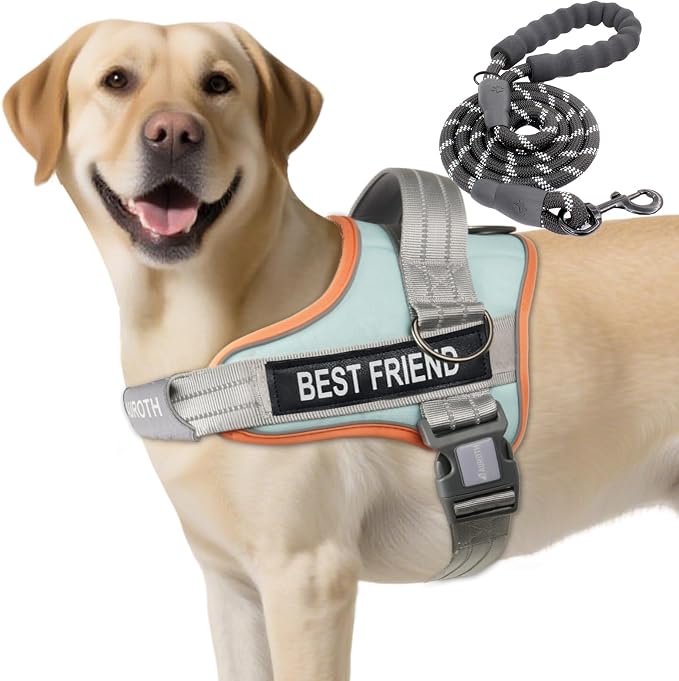 AUROTH Dog Harness and Leash Set for Medium Sized Dog, No Pull Dog Vest | with 5.25FT Dog Leash, Breathable Soft Padded, No choke, Reflective Tactical, Easy to Put on & Take Off - Macaron Blue Medium