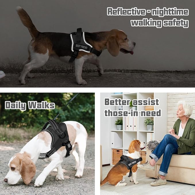 AUROTH Dog Harness and Leash Set for Large Sized Dog, No Pull Dog Vest | with Leash Clips, LED light clip, Soft Padded No Choke, Escape Proof, Easy Walking and Training, Black, XL