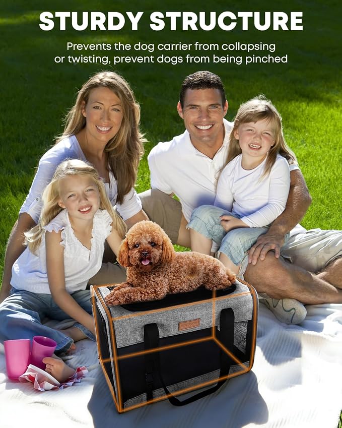 Foldable Cat Dog Carrier for Pets up to 15 Lb, Grey | Top & Side Entry, Soft-Sided Pet Carrier with Ventilated Anti-Scratch Mesh & Car Seat Buckle for Car Travel, 20×13×13 in