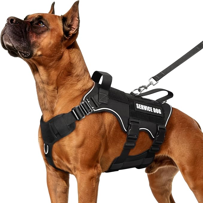 Tactical Dog Harness and Leash Set with Metal Buckles+10 Patches | Heavy Duty Service Dog Vest ,Adjustable Harness for Large Sized Dogs,No Pull Front Back Clips,for Training Hiking,Black L