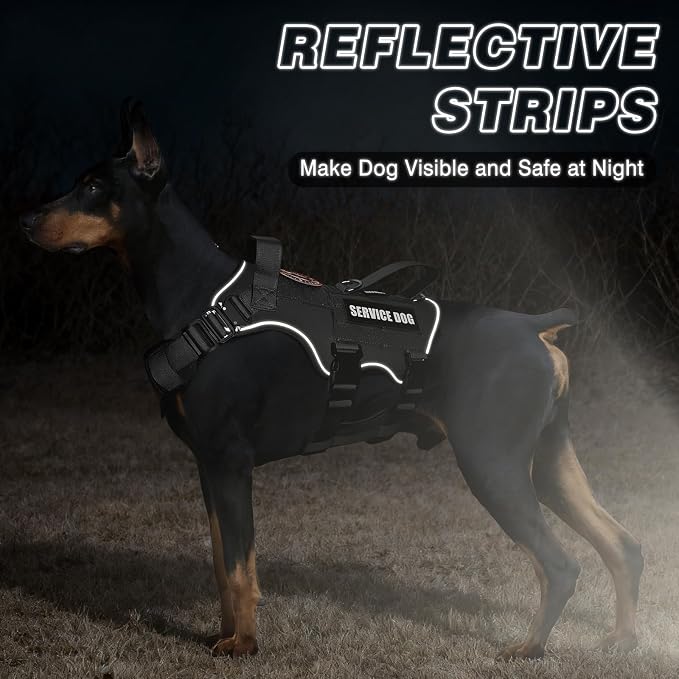 Tactical Dog Harness and Leash Set with Metal Buckles+10 Patches | Heavy Duty Service Dog Vest ,Adjustable Harness for Medium Sized Dogs,No Pull Front Back Clips,for Training Hiking,Black M