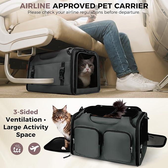 Dog, Cat Carrier for Pets Up to 12 Lbs, Airline Approved Collapsible Soft-Sided Pet Travel Bag with Locking Zippers, Breathable Mesh and 4 Large Pockets, Removable Fleece Pad (Dark Grey)