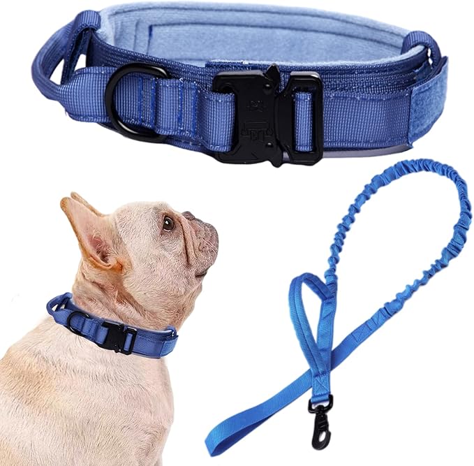 Tactical Dog Collar and Leash Set for Large Dogs with Handle,Dark Blue,S | 1000D Heavy-Duty Nylon Fabric,Quick-Release Metal Buckle,Adjustable Fit,Soft-Padded Webbing,D-Ring,for Training & Hiking