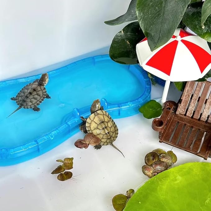 Tree Frog Tank Accessories - Novelty Pool Theme Set Turtle Habitat Decoration Reptile Water Food Bowl for Amphibian Aquatic Frog Toad Lizard Leopard Gecko Hermit Crabs Snake Spider Scorpion (Pool Set)