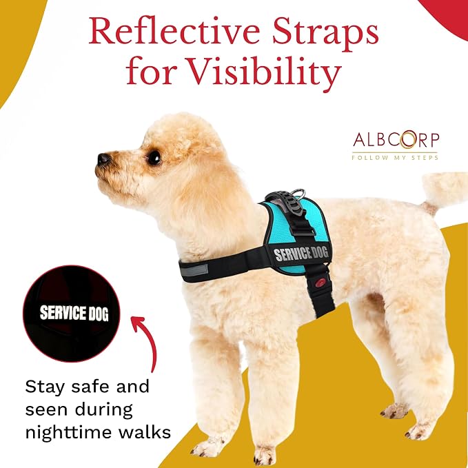 Service Dog Vest Harness – Reflective Service Animal Vest, No-Pull Harness with Handle & Mesh Padding – Sizes XXS-XL for Puppies – 2 Removable Service Patches Included (XXS, Blue)