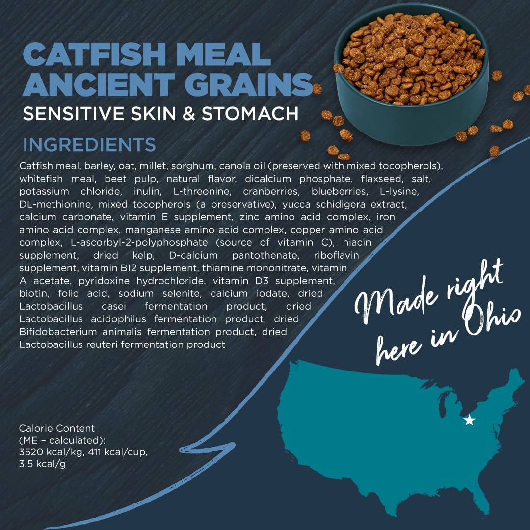 Blackwood Sensitive Skin & Stomach Dry Dog Food, Catfish Meal & Brown Rice with Ancient Grains, 10 Pound Bag with Prebiotics & Probiotics to Promote Gut Health