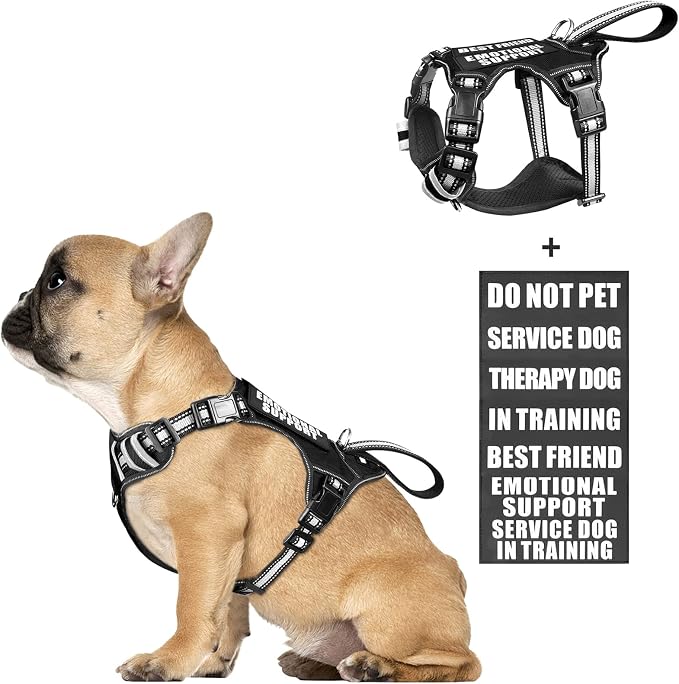 Service Dog Vest No Pull Dog Harness with 7 Dog Patches, Reflective Pet Harness with Durable Soft Padded Handle for Training Small, Medium, Large, and Extra-Large Dogs (Small, Black)