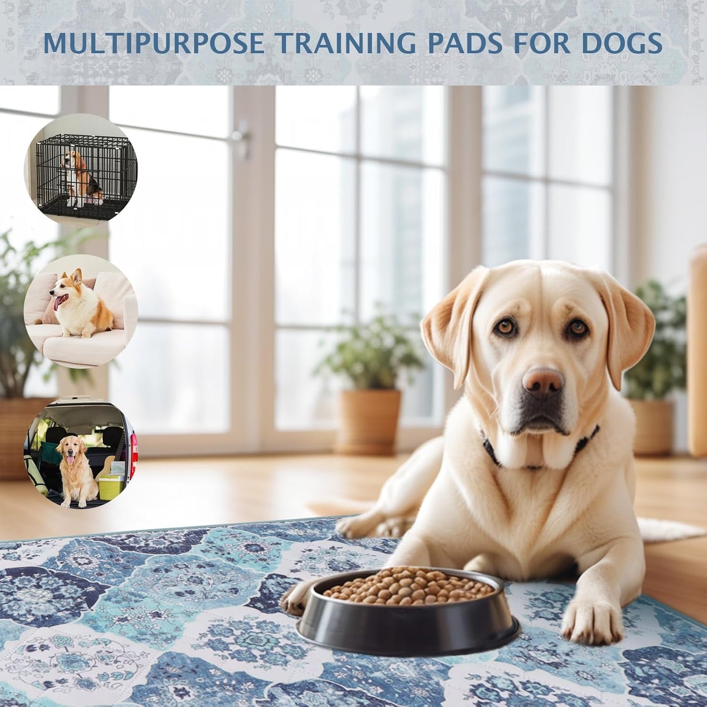 IEUUMLER Washable Pee Pads for Dogs, 2 Pack Reusable Non-Slip Grip, Super Absorbent Waterproof Puppy Pads for Potty Training, Playpen, Crate, Whelping Box EU011 (Blue, 30" x 20")