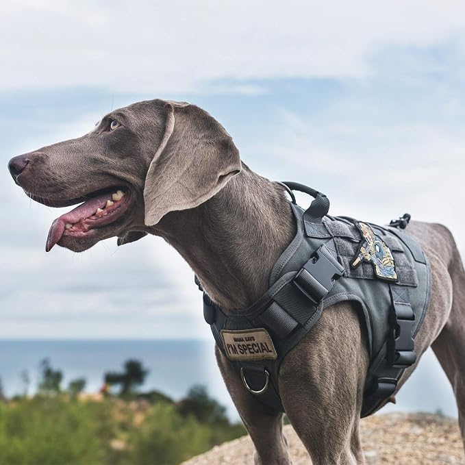 OneTigris Tactical Dog Harness Vest No-Pull Service Dog Vest for Large Dogs | 1000D Pullable Nylon, with Control Handle and Hook & Loop Panels, Easy On & Off, Adjustable for Walking Training Gray L