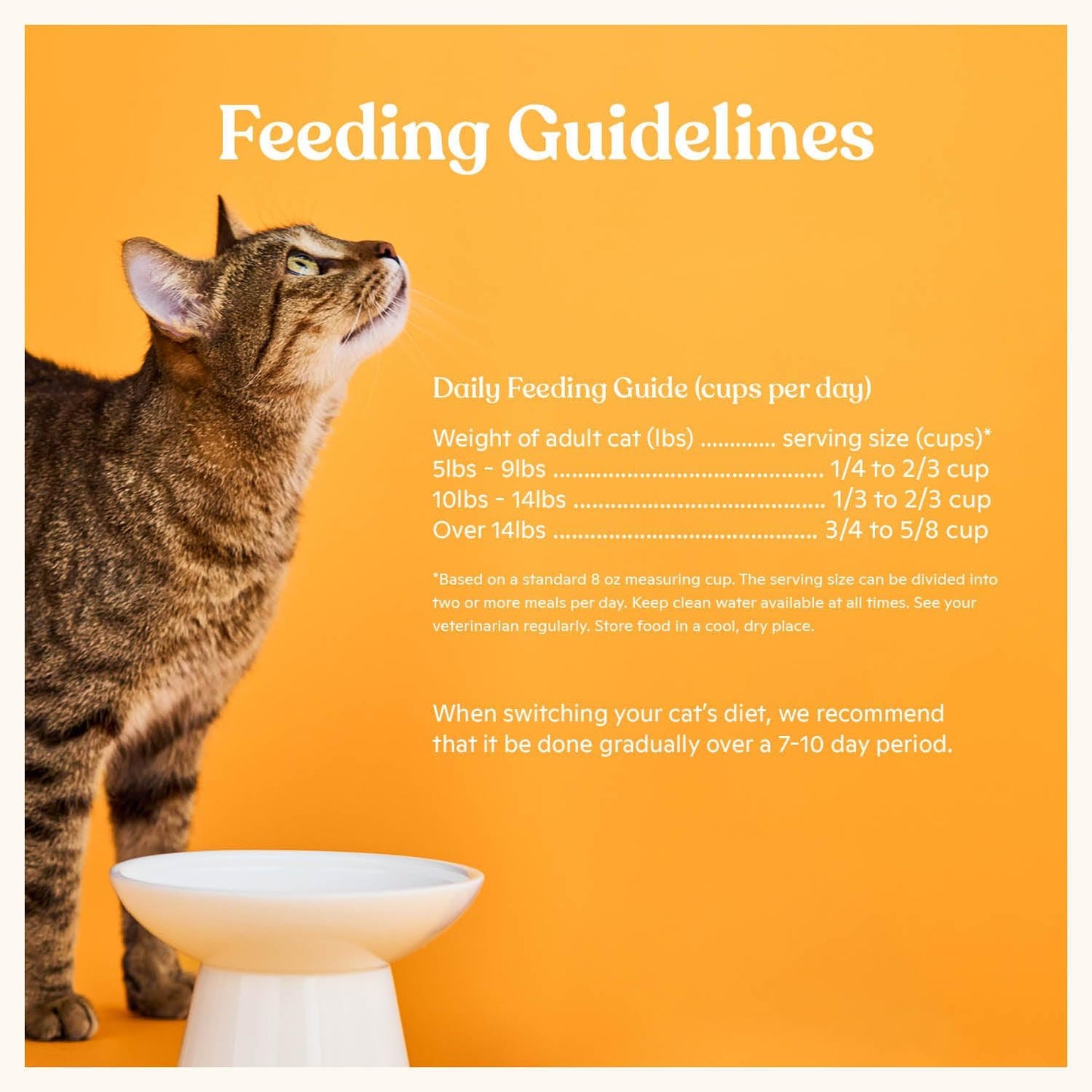 Made by Nacho Dry Cat Kibble 11lb Bag, High Protein and Grain-Friendly Premium Cat Food, Cage-Free Chicken & Pumpkin Recipe, Infused with Bone Broth for Hydration, Limited Ingredients, Single Bag