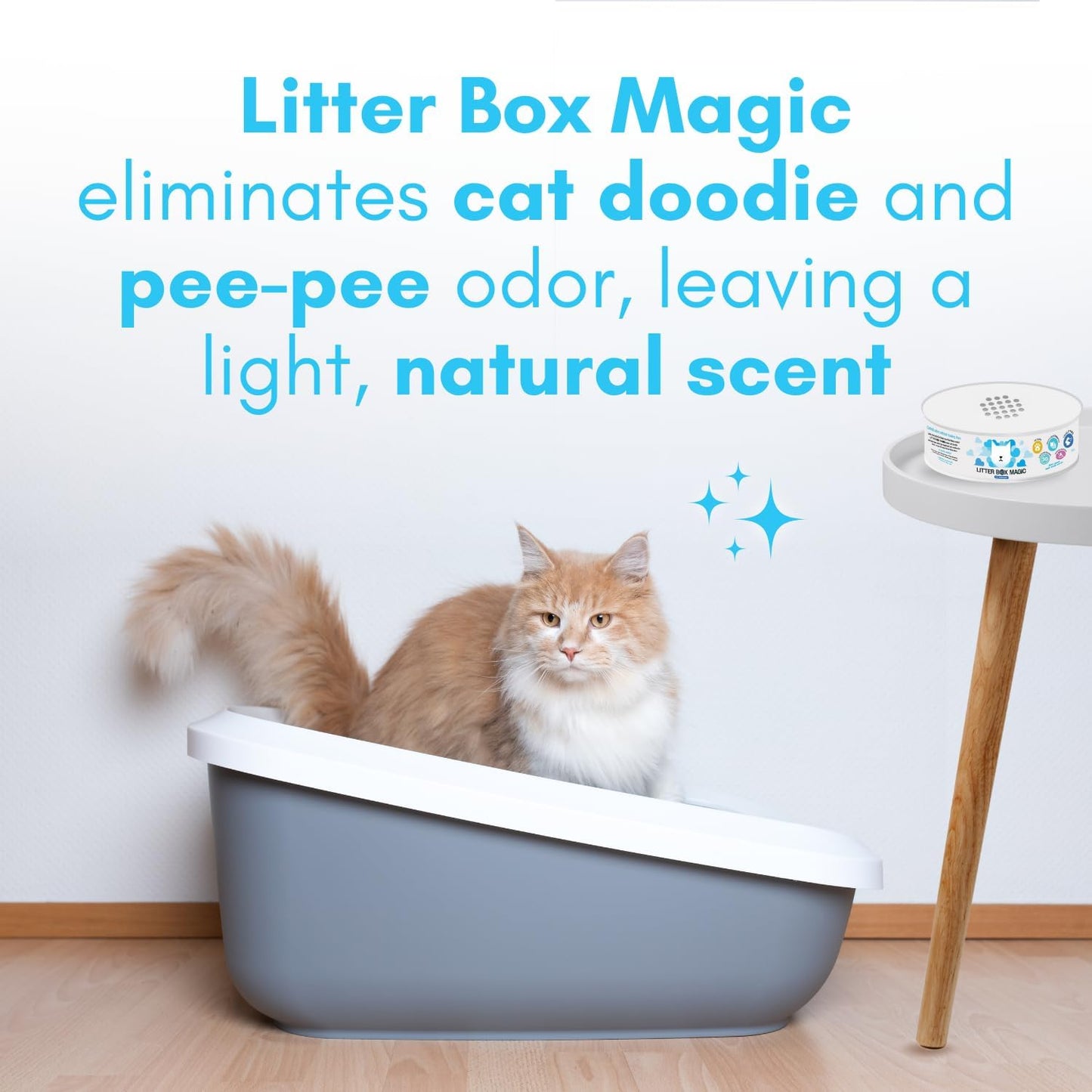 Cat Litter Deodorizer Jar (Fresh Scent, 16 Oz, Pack of 2) - Cat Litter Odor Absorber Gel In A Jar - Litter Box Pet Air Freshener - Litter Odor Eliminator to Freshen Air