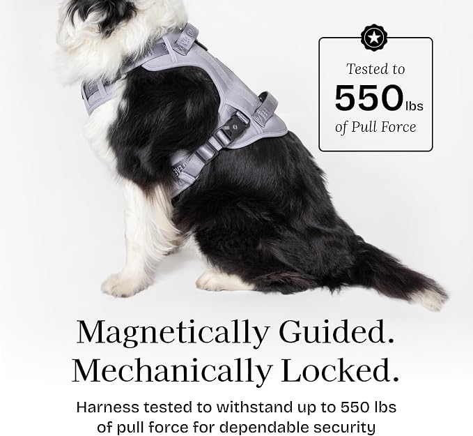 Fei & Eve Classic Dog Harness, MagEase Magnetic Buckle | 3-Point No-Pull Control, Dual Handle Support, 900D Nylon, Tactical Patch Panel, Heavy Duty, Medium, Gray