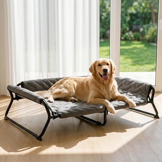 Elevated Dog Bed with Bolster, 2-in-1 Raised Dog Cot for Large Dogs up to 90 lbs, Removable Machine-Washable Cushion, Stable Metal X-Frame, Indoor and Covered Outdoor Use, 42 x 30 x 12 in, Gray