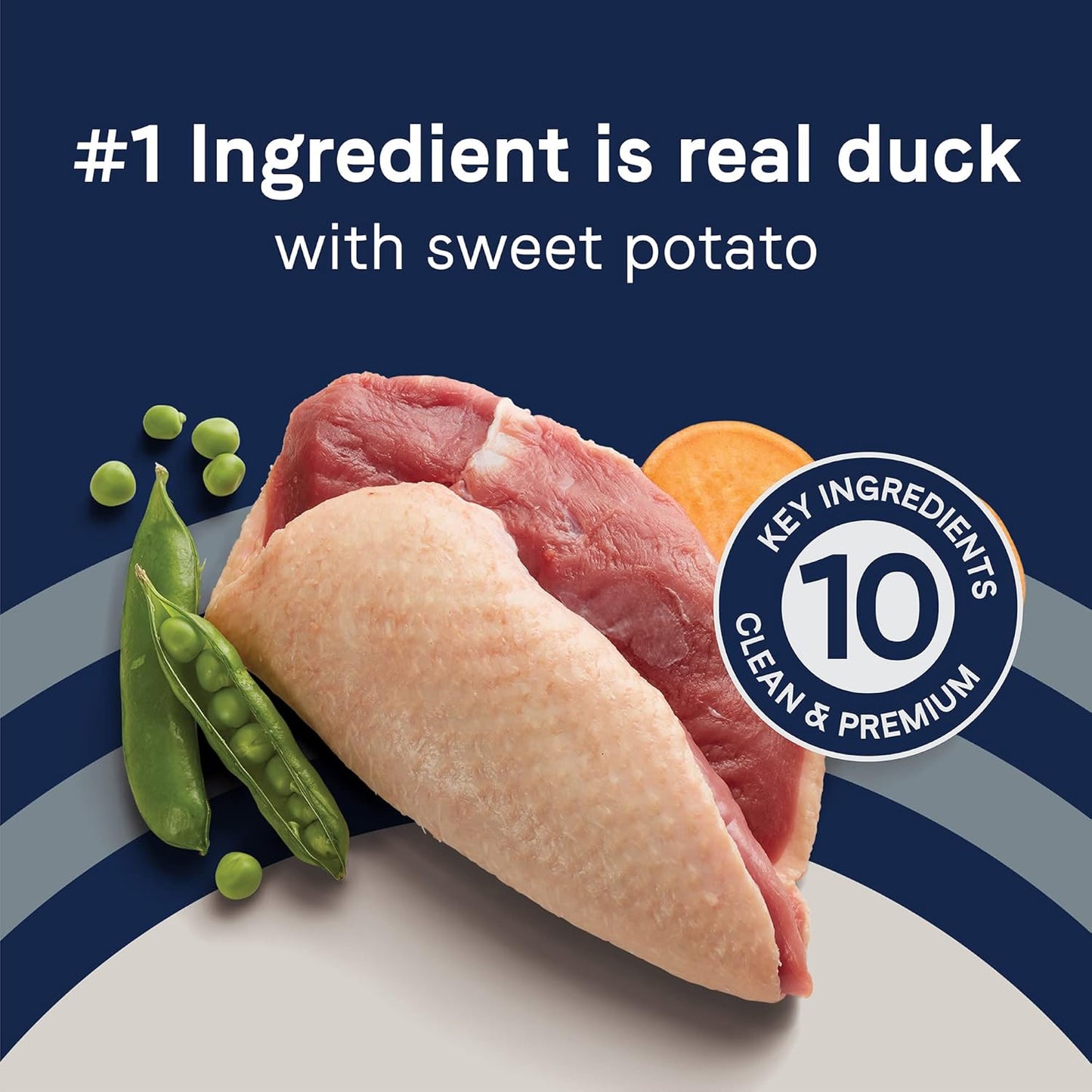 Canidae Pure Limited Ingredient Premium Adult Dry Dog Food, Real Duck & Sweet Potato Recipe, 22 lbs, Grain Free