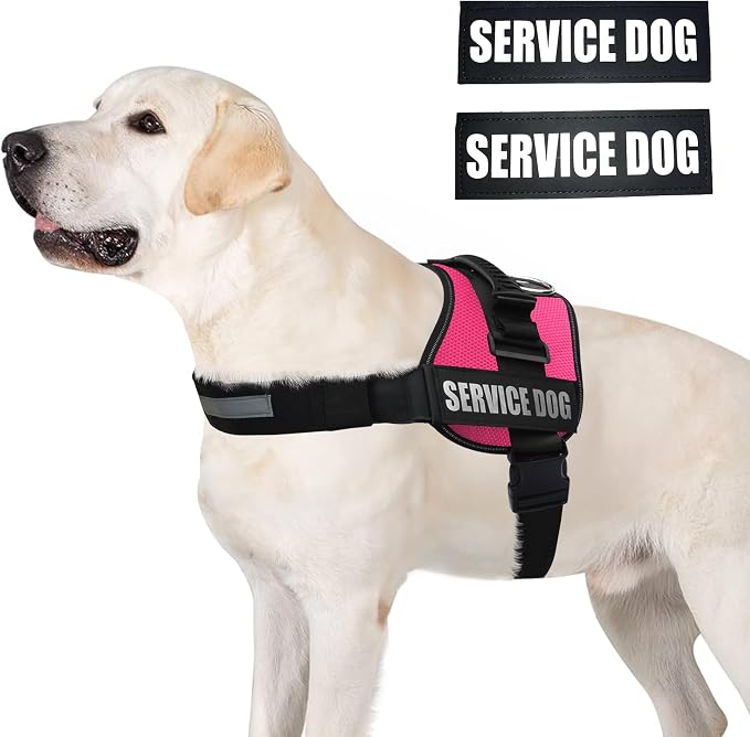Service Dog Vest Harness – Reflective Service Animal Vest, No-Pull Harness with Handle & Mesh Padding – Sizes XXS-XL for Puppies – 2 Removable Service Patches Included (Medium, Pink)