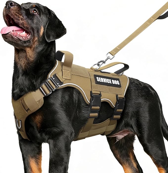 Tactical Dog Harness and Leash Set with Metal Buckles+10 Patches | Heavy Duty Service Dog Vest ,Adjustable Harness for Medium Sized Dogs,No Pull Front Back Clips,for Training Hiking,Brown M