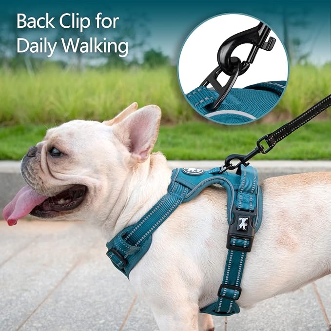 PoyPet No Pull Dog Harness, Reflective Vest with 2 Leash Clips & Handle | Lockable Neck Release Buckle, No Choke, Adjustable, Soft Padded, for Walking Training, Tumalo Teal, Small
