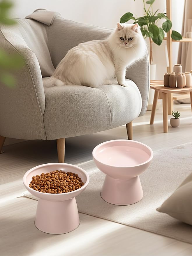 LoeJan Elevated Cat Food and Water Bowls Set, Extra Wide and Raised Ceramic Feeder, Anti-Vomit Whisker-Free Pressure Feeding Bowl for Kittens Adult Cats Small Dogs (Pink, Bowl Set)